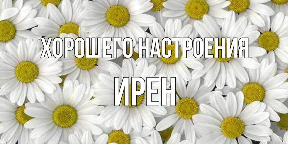 Открытка на каждый день с именем, Ирен Хорошего настроения поляна ромашек Прикольная открытка с пожеланием онлайн скачать бесплатно 