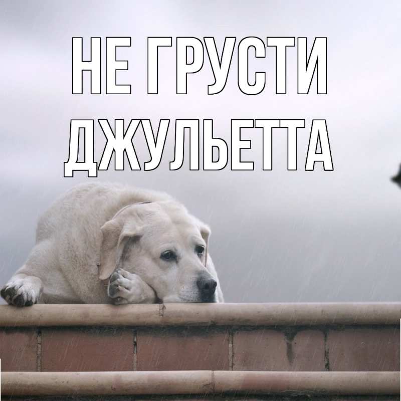 Картинка Не грусти, Джульетта