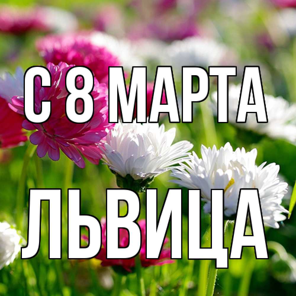 Открытка на каждый день с именем, Львица C 8 МАРТА международный женский день 1 Прикольная открытка с пожеланием онлайн скачать бесплатно 