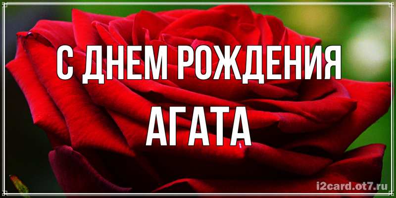 Картинка С днем рождения, Агата