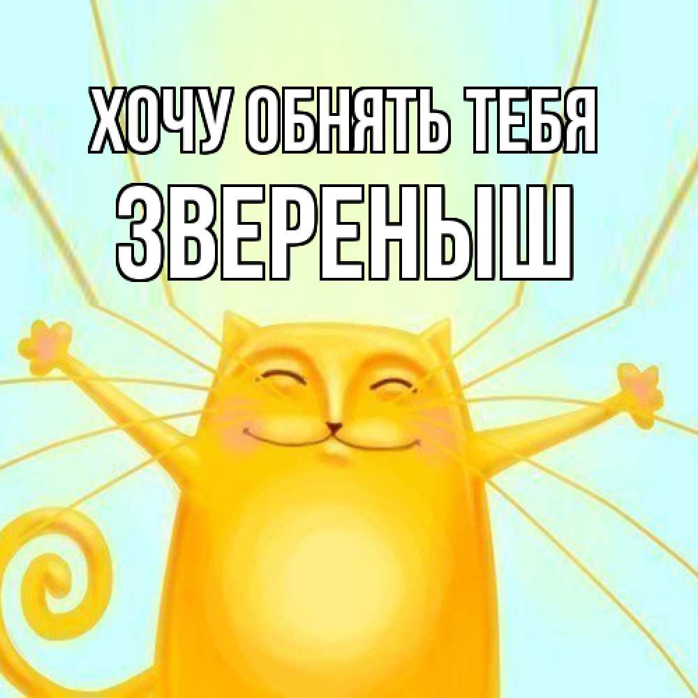 Открытка на каждый день с именем, звеpеныш Хочу обнять тебя солнечный обнимашечный кот Прикольная открытка с пожеланием онлайн скачать бесплатно 