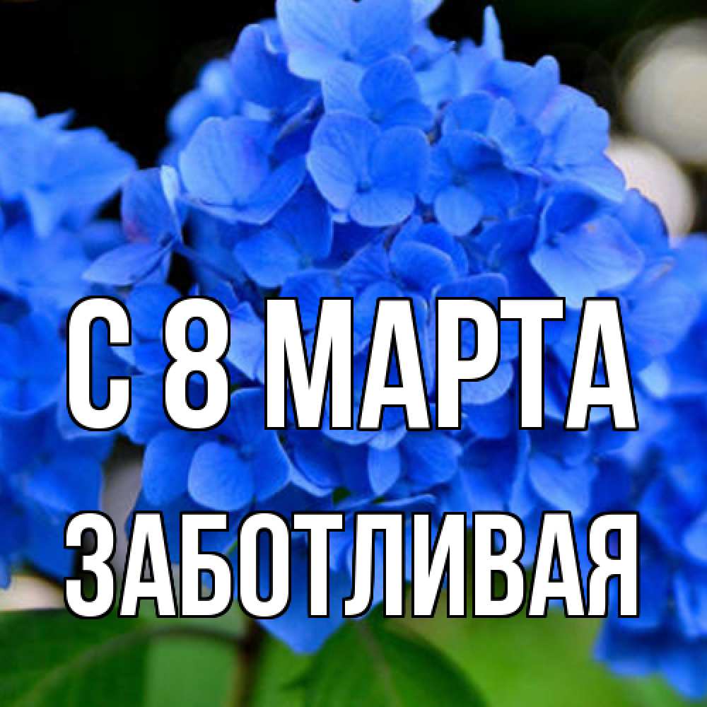 Открытка на каждый день с именем, Заботливая C 8 МАРТА синие цветы Прикольная открытка с пожеланием онлайн скачать бесплатно 