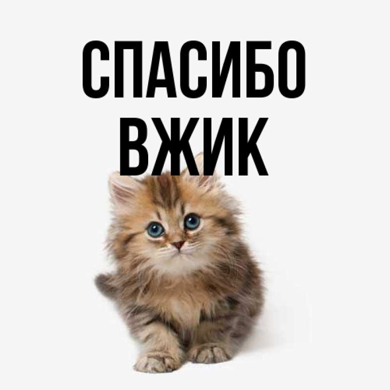 Открытка с именем, Вжик, Спасибо