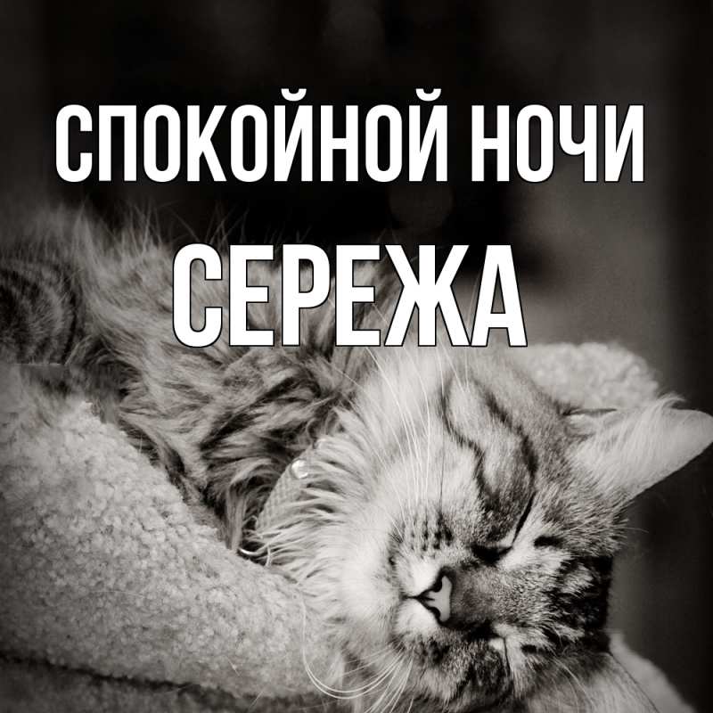 Картинка Спокойной ночи, Сережа