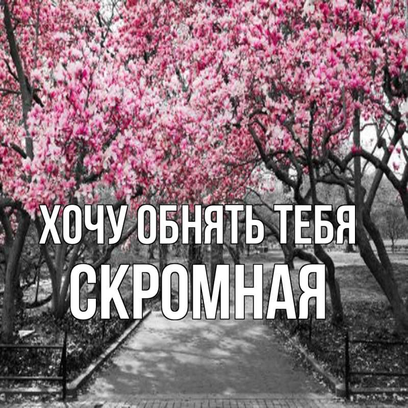 Картинка Хочу обнять тебя, скромная