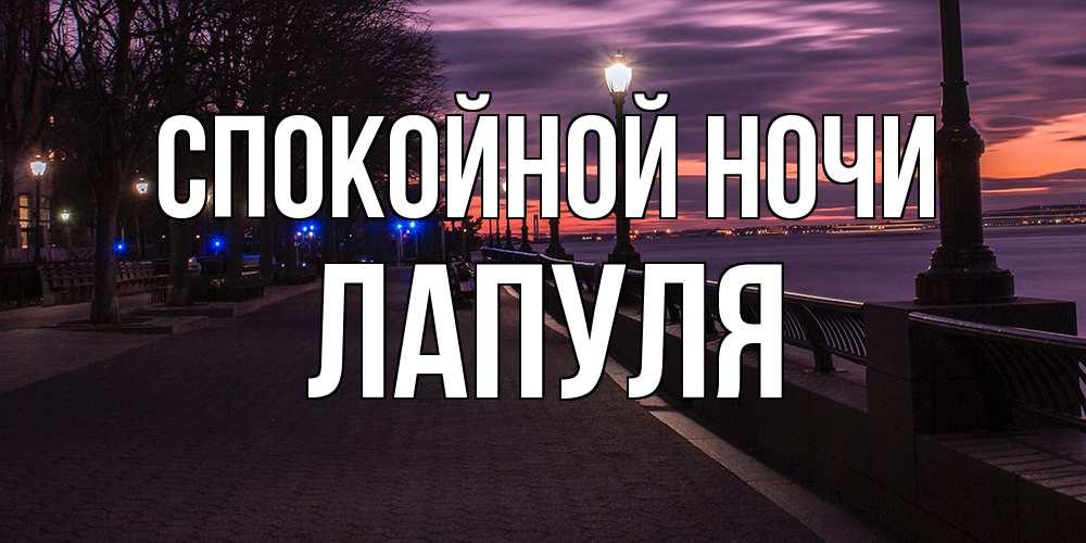 Открытка на каждый день с именем, Лапуля Спокойной ночи фонари на фоне реки Прикольная открытка с пожеланием онлайн скачать бесплатно 