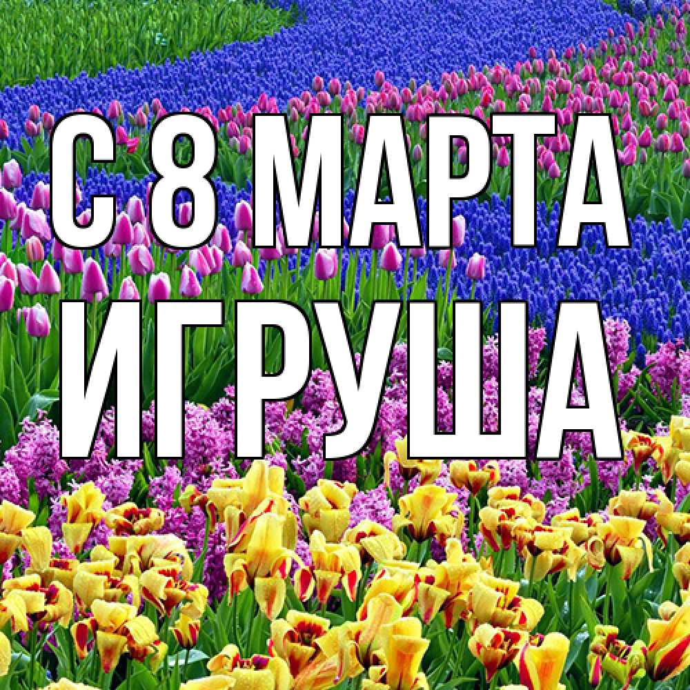 Открытка на каждый день с именем, Игруша C 8 МАРТА цветы Прикольная открытка с пожеланием онлайн скачать бесплатно 
