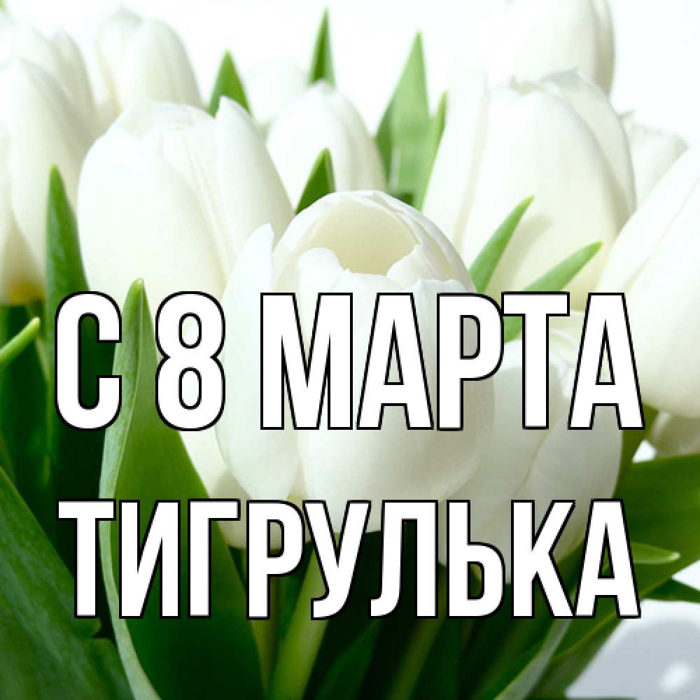 Открытка на каждый день с именем, тигрулька C 8 МАРТА цветы Прикольная открытка с пожеланием онлайн скачать бесплатно 