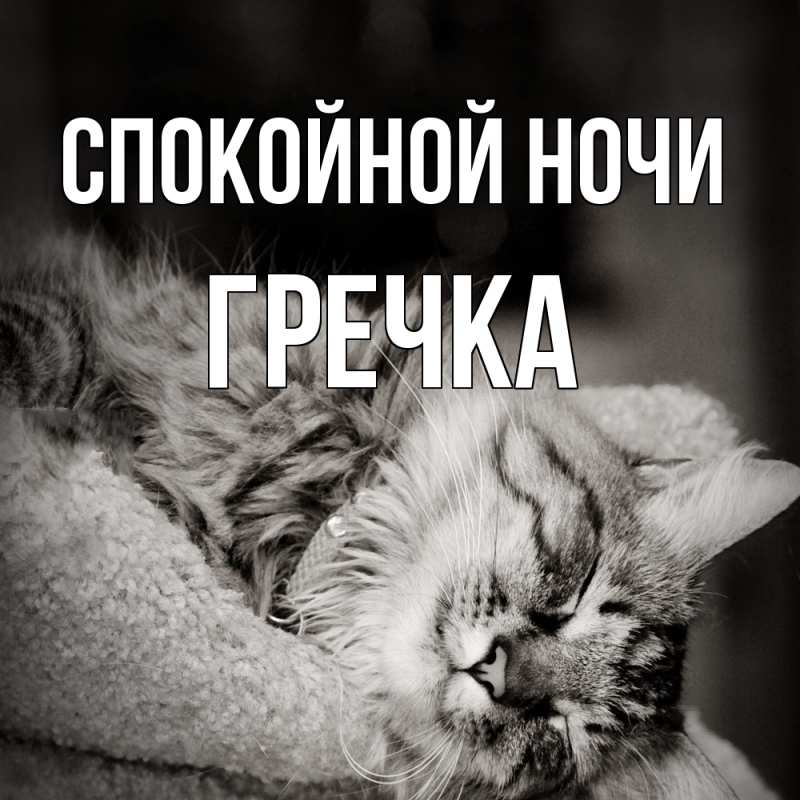Картинка Спокойной ночи, Гречка