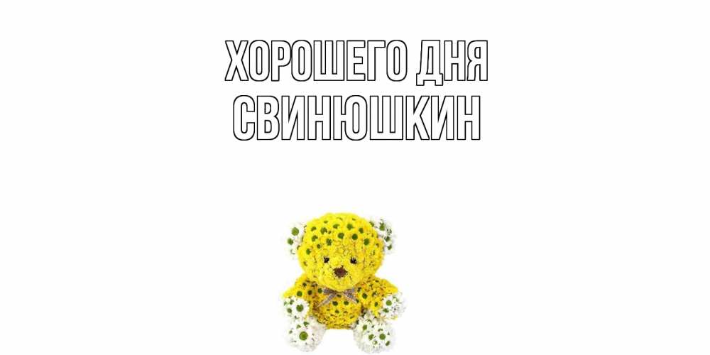 Открытка на каждый день с именем, Свинюшкин Хорошего дня позитивного настроения вам Прикольная открытка с пожеланием онлайн скачать бесплатно 