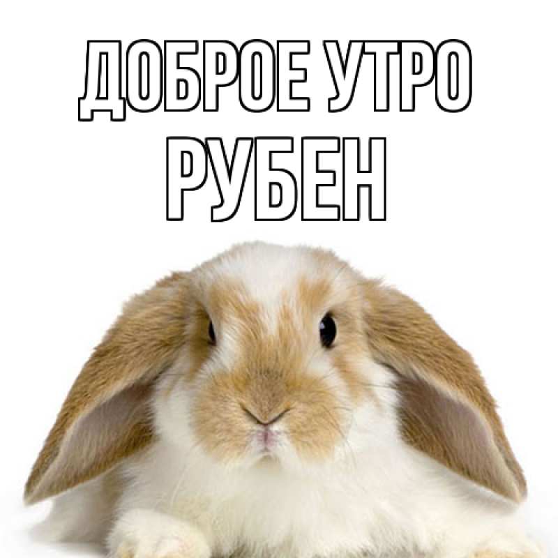 Картинка Доброе утро, Рубен