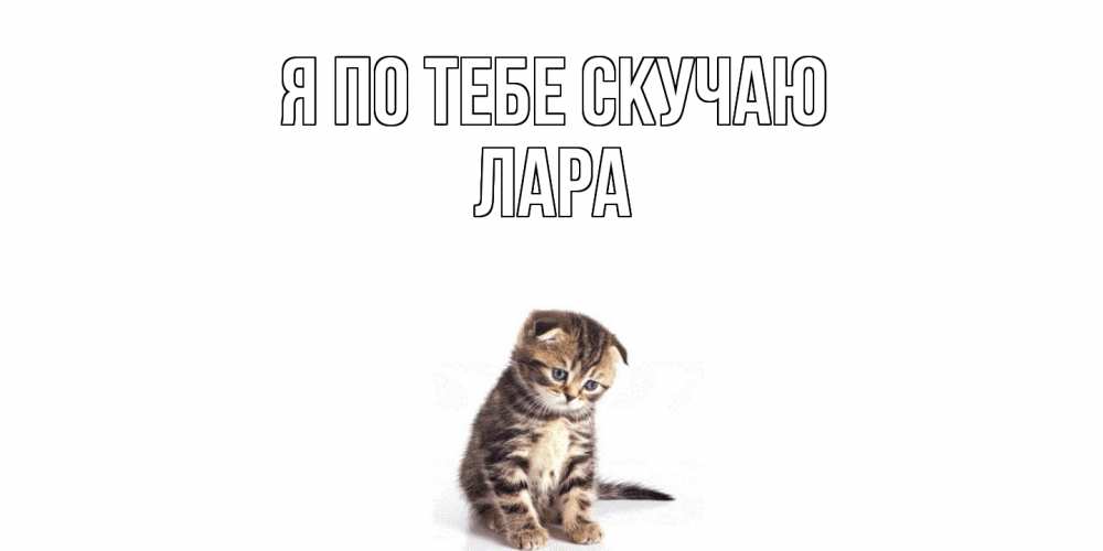 Открытка на каждый день с именем, Лара Я по тебе скучаю кот Прикольная открытка с пожеланием онлайн скачать бесплатно 