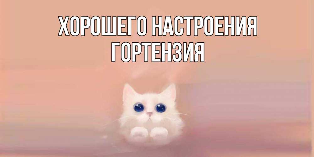 Открытка на каждый день с именем, Гортензия Хорошего настроения кошка Прикольная открытка с пожеланием онлайн скачать бесплатно 