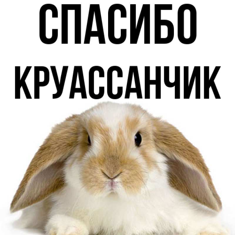 Картинка Спасибо, круассанчик