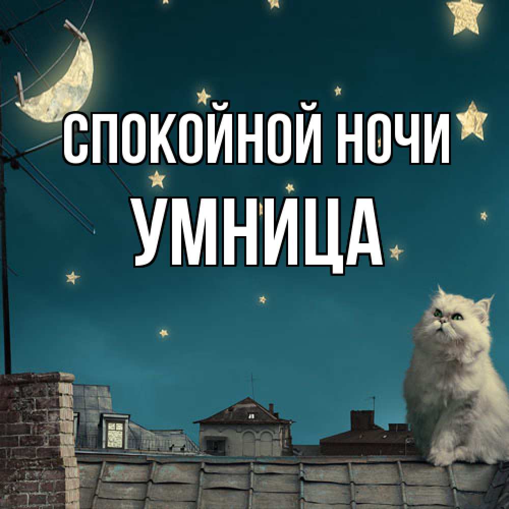 Открытка на каждый день с именем, Умница Спокойной ночи белый кот сидит на крыше Прикольная открытка с пожеланием онлайн скачать бесплатно 