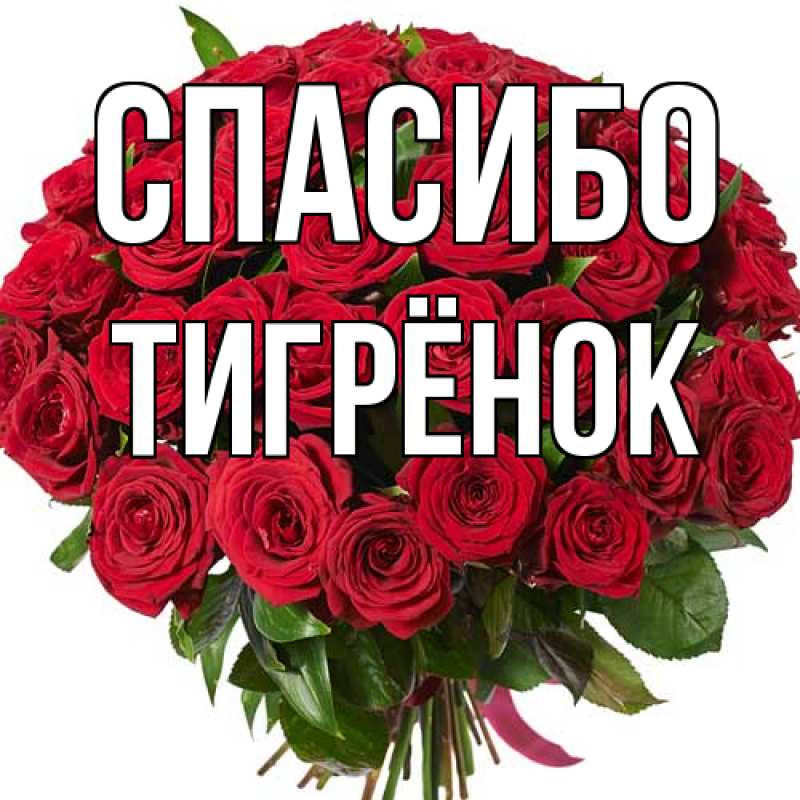 Картинка Спасибо, Тигрёнок