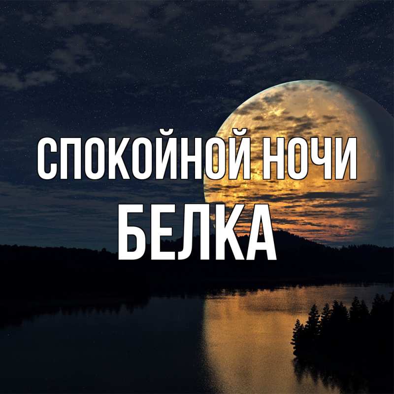 Картинка Спокойной ночи, Белка