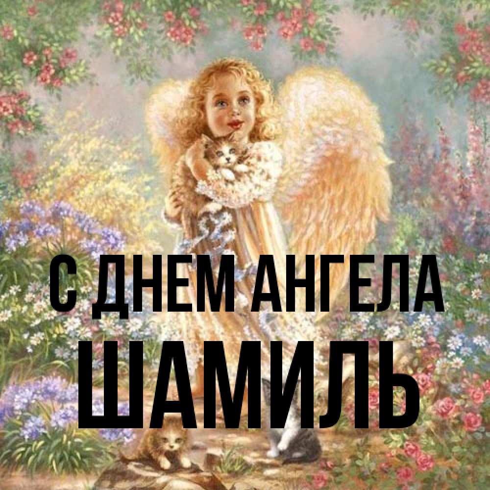 Открытка на каждый день с именем, Шамиль С днем ангела держит котенка Прикольная открытка с пожеланием онлайн скачать бесплатно 