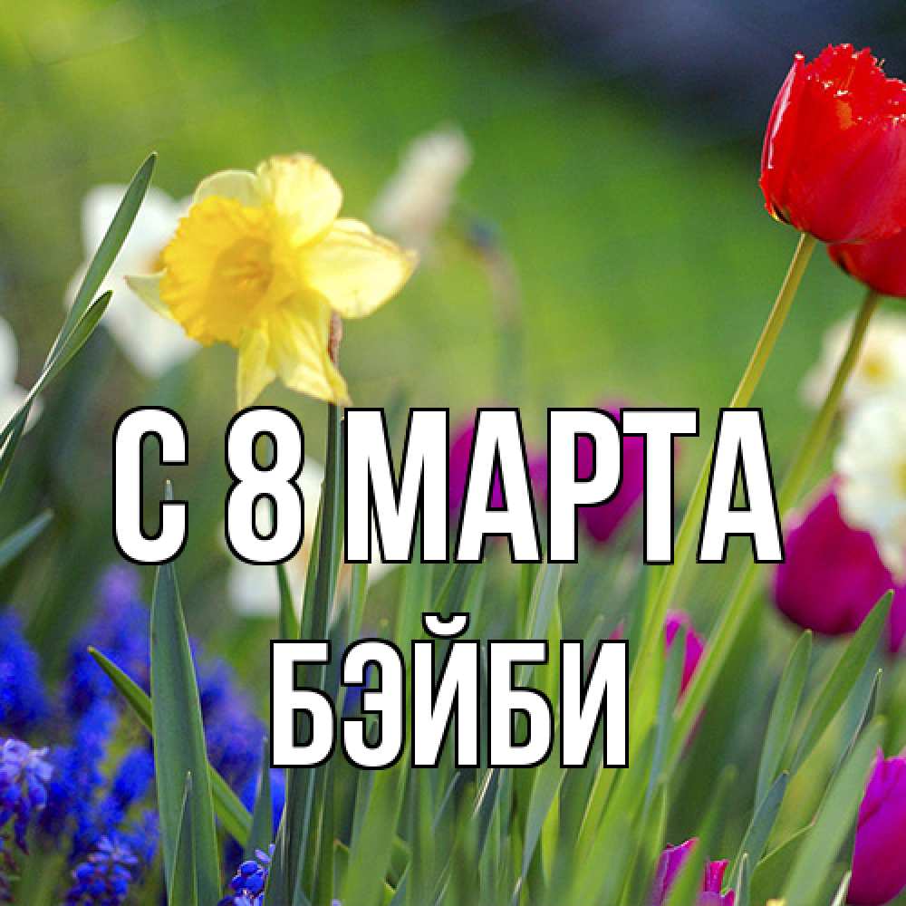 Открытка на каждый день с именем, бэйби C 8 МАРТА международный женский день 3 Прикольная открытка с пожеланием онлайн скачать бесплатно 