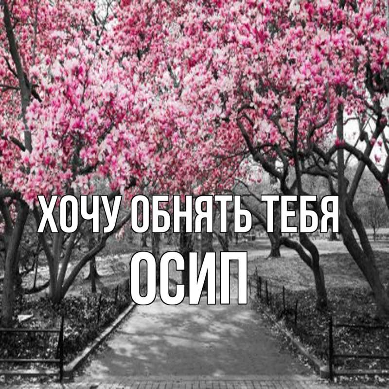 Картинка Хочу обнять тебя, Осип