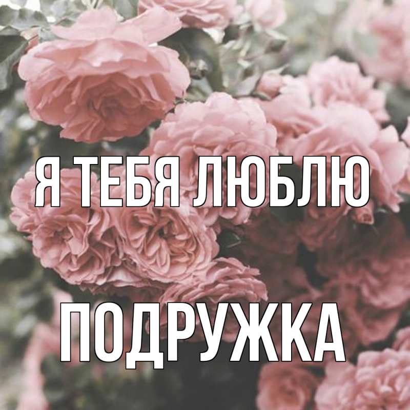 Открытка с именем, Подружка, Я тебя люблю