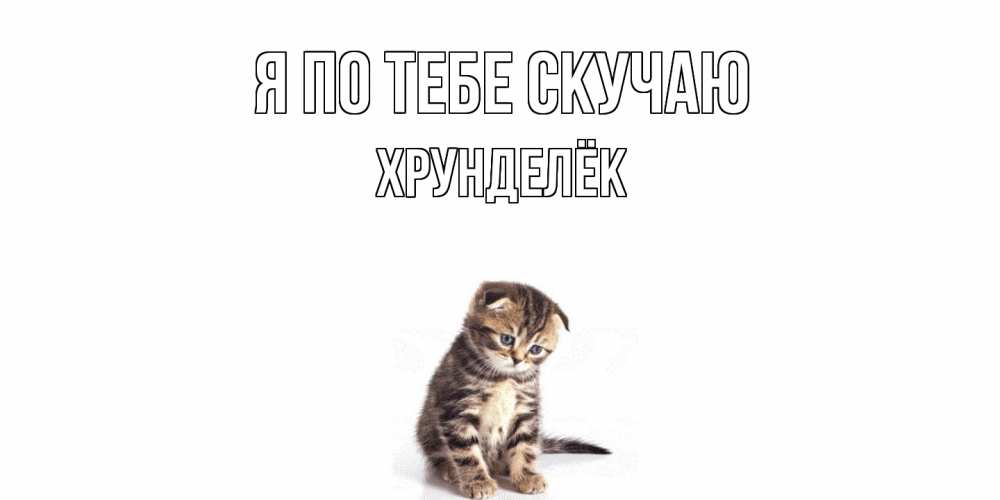 Открытка на каждый день с именем, Хрунделёк Я по тебе скучаю кот Прикольная открытка с пожеланием онлайн скачать бесплатно 
