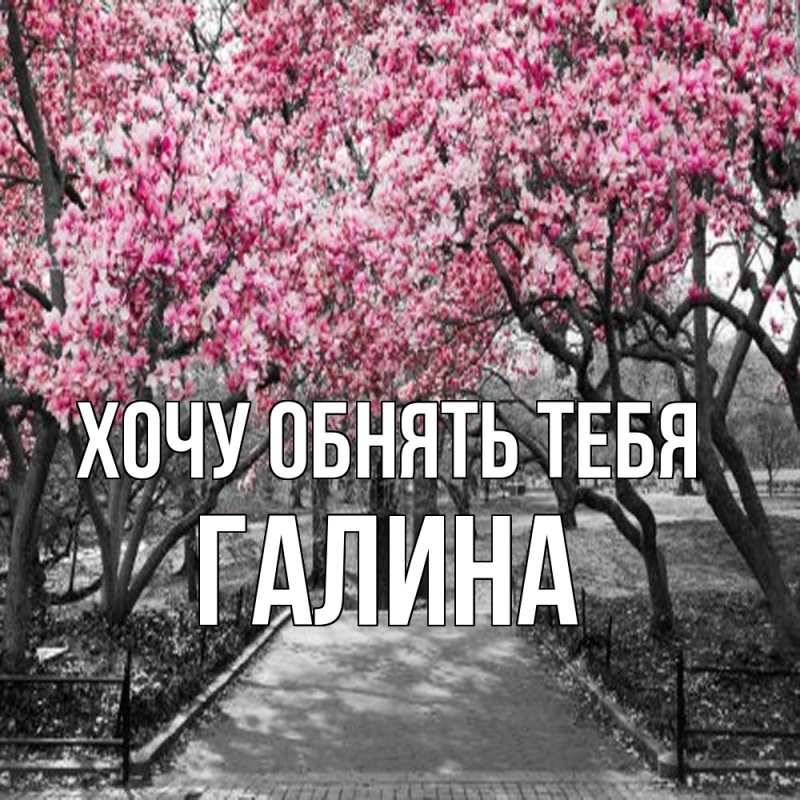 Картинка Хочу обнять тебя, Галина