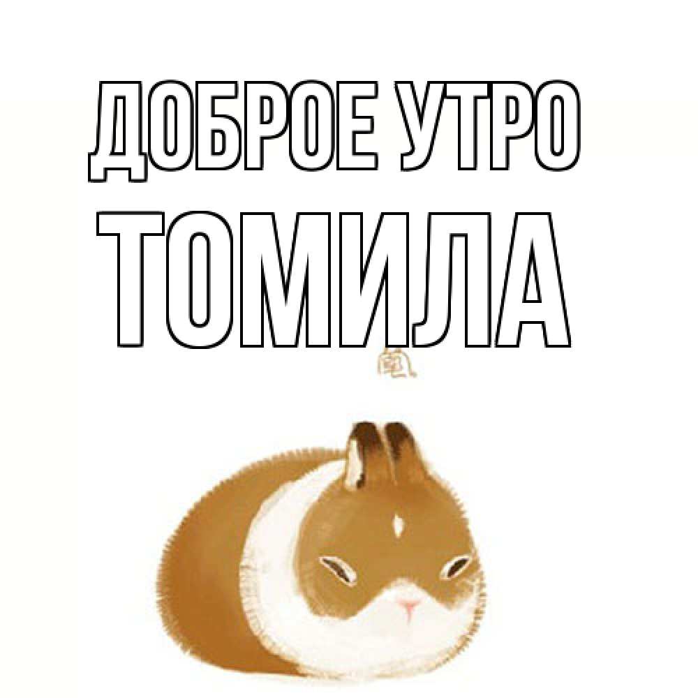 Открытка на каждый день с именем, Томила Доброе утро хорошего утречка Прикольная открытка с пожеланием онлайн скачать бесплатно 