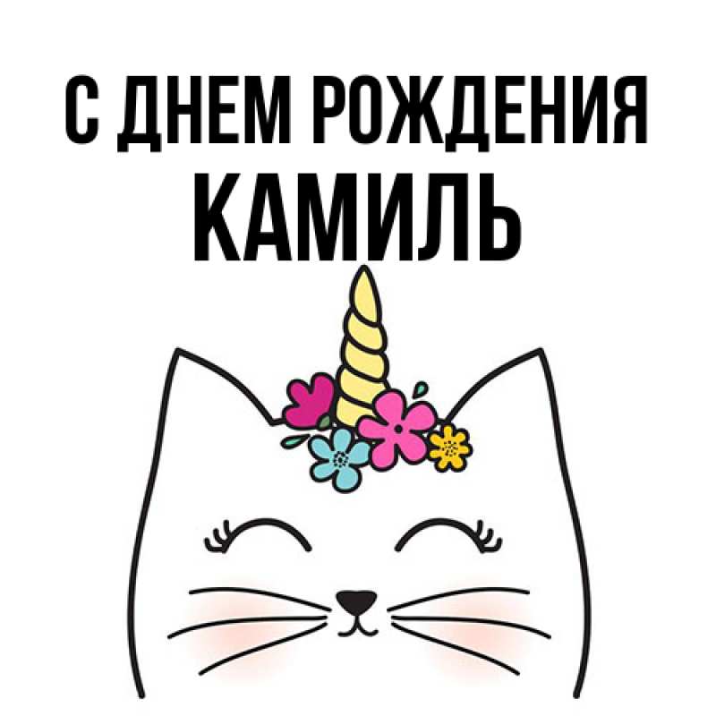 Картинка С днем рождения, Камиль