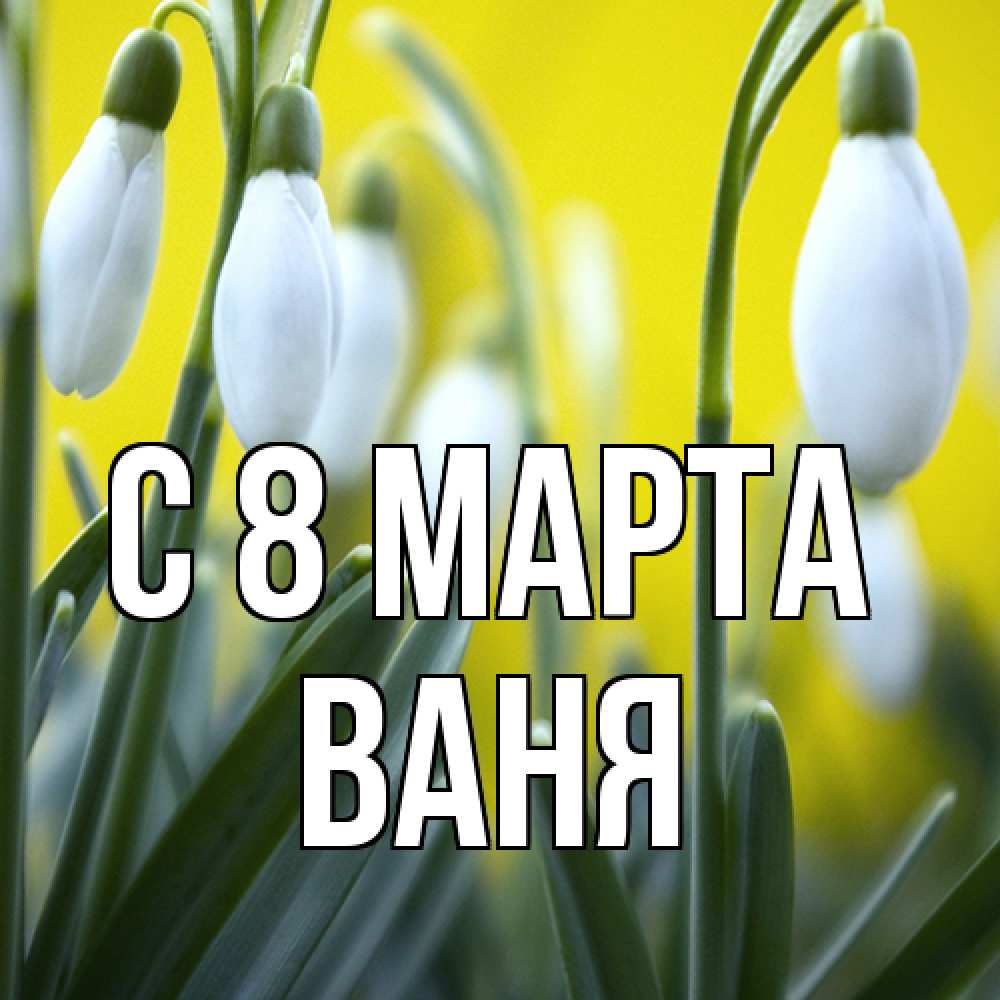 Открытка на каждый день с именем, Ваня C 8 МАРТА весенние цветы Прикольная открытка с пожеланием онлайн скачать бесплатно 