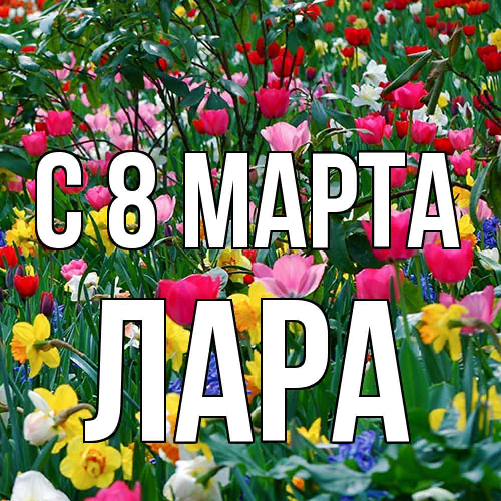 Открытка на каждый день с именем, Лара C 8 МАРТА с международным женским днем поздравления для женщины Прикольная открытка с пожеланием онлайн скачать бесплатно 