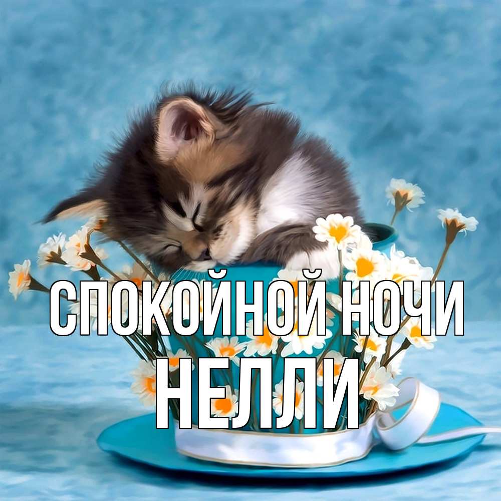 Открытка на каждый день с именем, Нелли Спокойной ночи котенок спит в кружке с блюдцем Прикольная открытка с пожеланием онлайн скачать бесплатно 