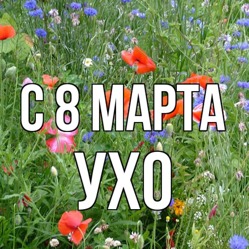 Картинка C 8 МАРТА, Ухо