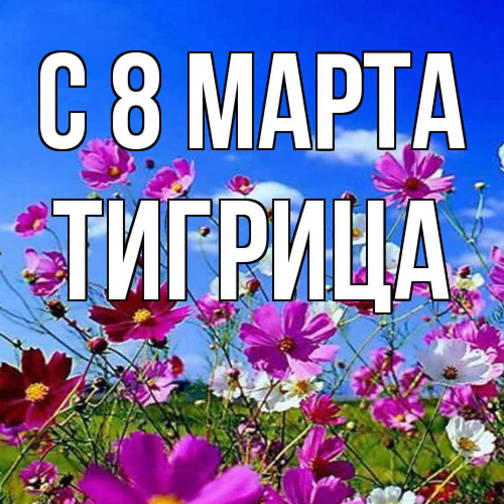 Открытка на каждый день с именем, Тигрица C 8 МАРТА цветы Прикольная открытка с пожеланием онлайн скачать бесплатно 