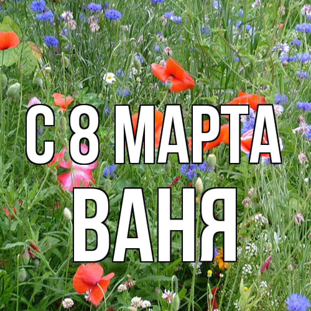 Открытка на каждый день с именем, Ваня C 8 МАРТА международный женский день 4 Прикольная открытка с пожеланием онлайн скачать бесплатно 