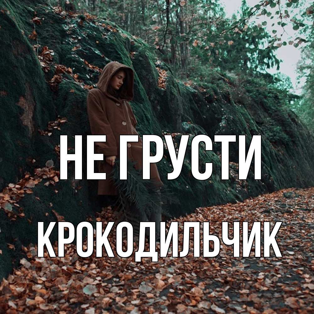 Открытка на каждый день с именем, Крокодильчик Не грусти осенний лес Прикольная открытка с пожеланием онлайн скачать бесплатно 