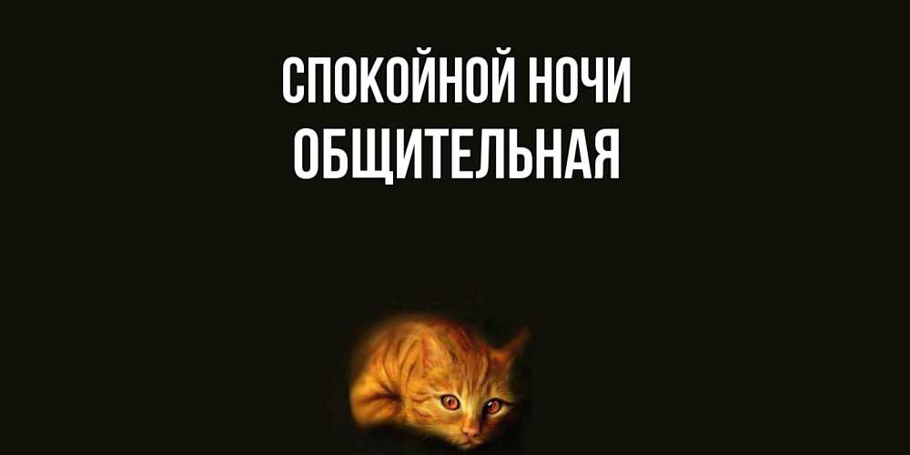 Открытка на каждый день с именем, Общительная Спокойной ночи кот Прикольная открытка с пожеланием онлайн скачать бесплатно 