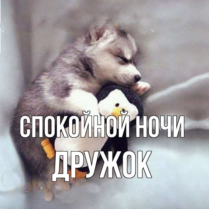 Картинка Спокойной ночи, Дружок