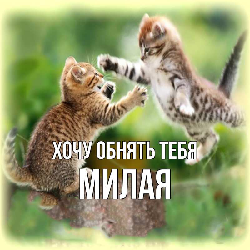 Картинка Хочу обнять тебя, Милая