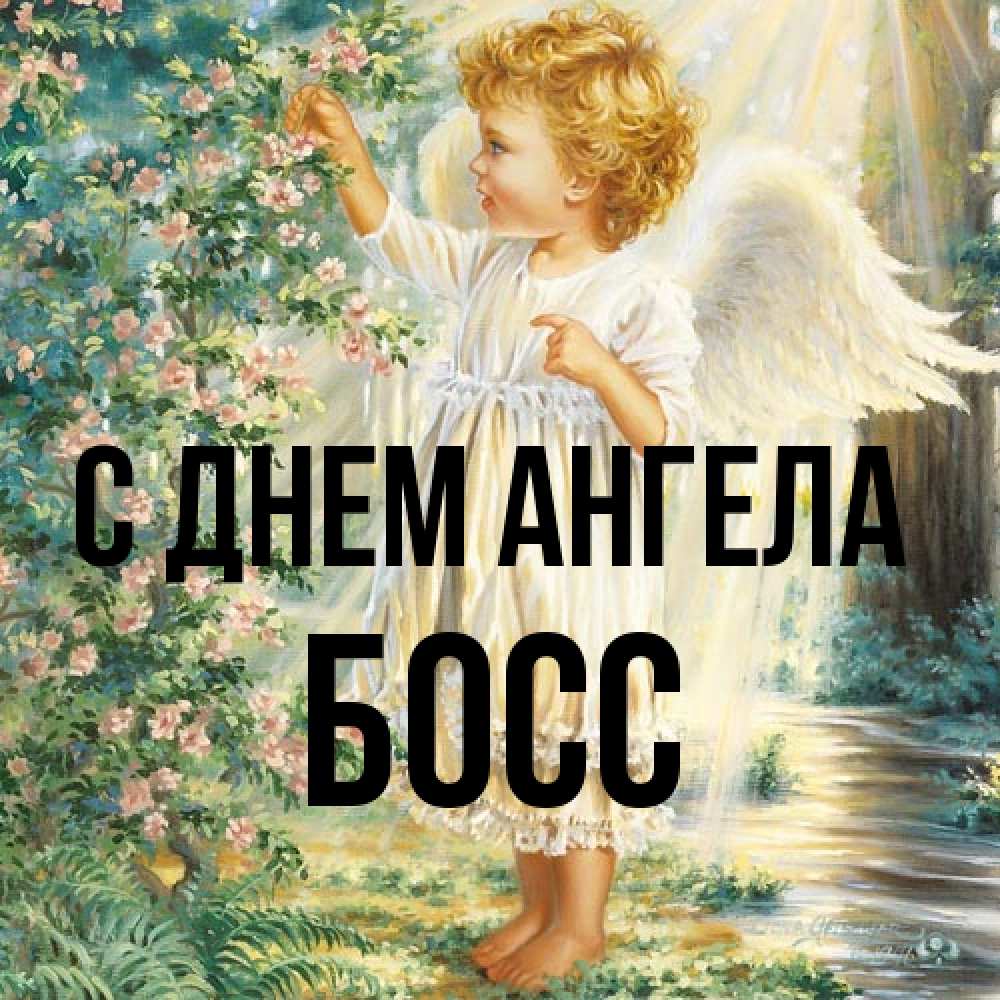 Открытка на каждый день с именем, Босс С днем ангела собирает цветы Прикольная открытка с пожеланием онлайн скачать бесплатно 