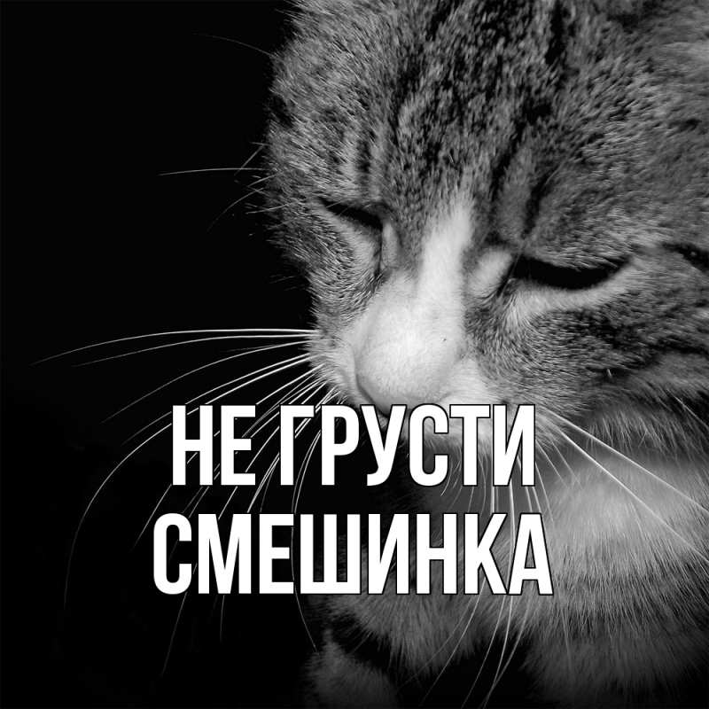 Картинка Не грусти, Смешинка
