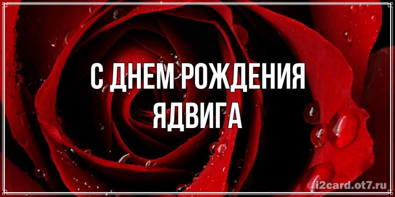 Открытка с именем, Ядвига, С днем рождения