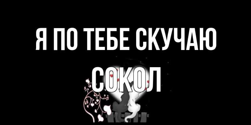 Картинка Я по тебе скучаю, Сокол