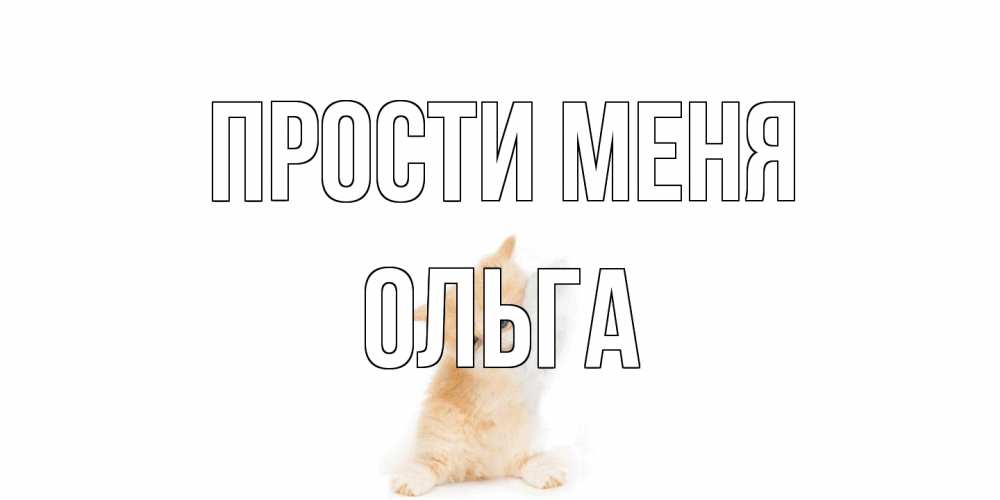 Открытка на каждый день с именем, Ольга Прости меня кот Прикольная открытка с пожеланием онлайн скачать бесплатно 