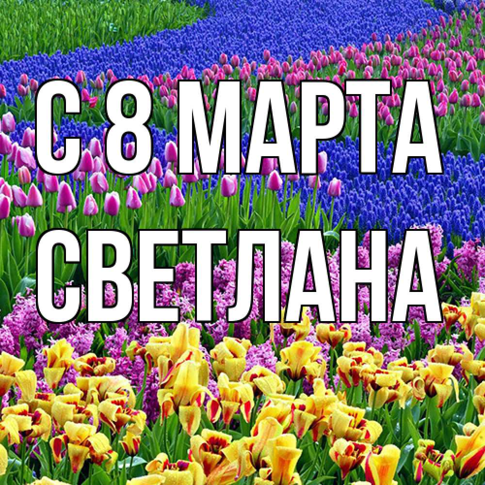 Открытка на каждый день с именем, Светлана C 8 МАРТА цветы Прикольная открытка с пожеланием онлайн скачать бесплатно 