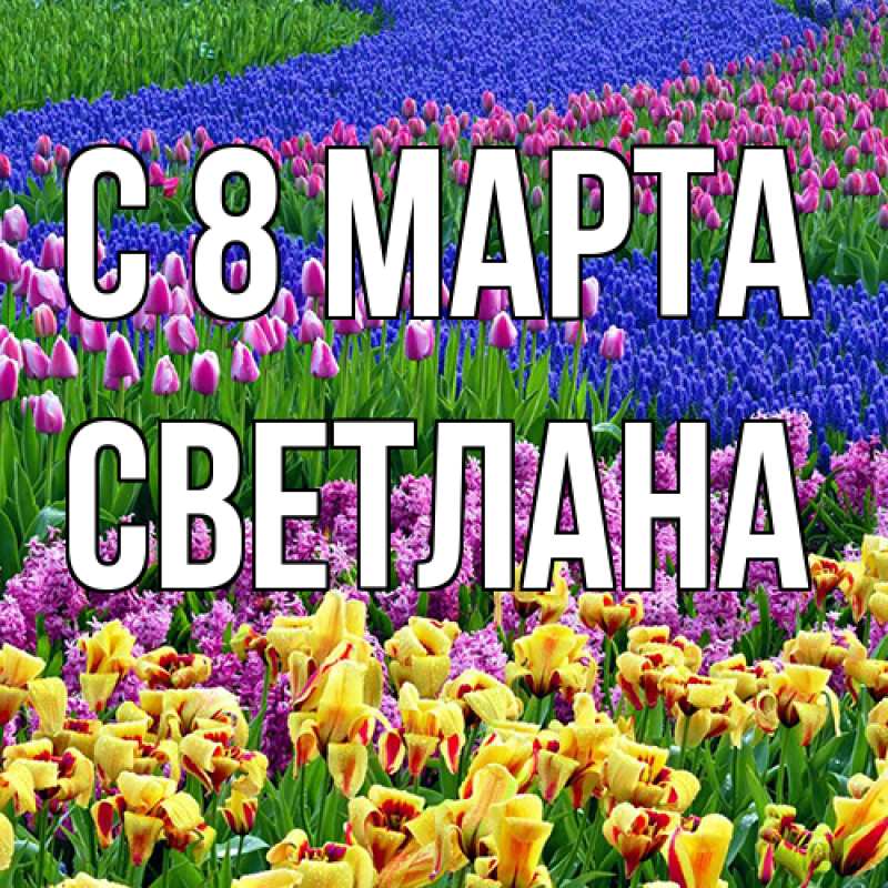 Картинка C 8 МАРТА, Светлана