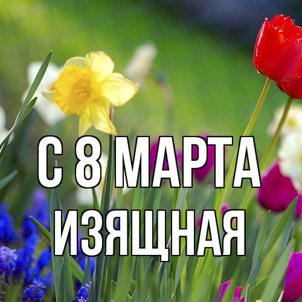 Открытка на каждый день с именем, Изящная C 8 МАРТА международный женский день 3 Прикольная открытка с пожеланием онлайн скачать бесплатно 