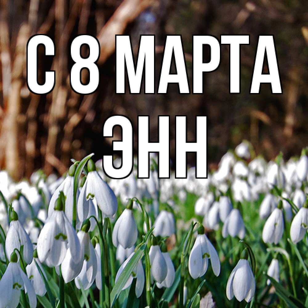 Открытка на каждый день с именем, Энн C 8 МАРТА с подснежниками 1 Прикольная открытка с пожеланием онлайн скачать бесплатно 