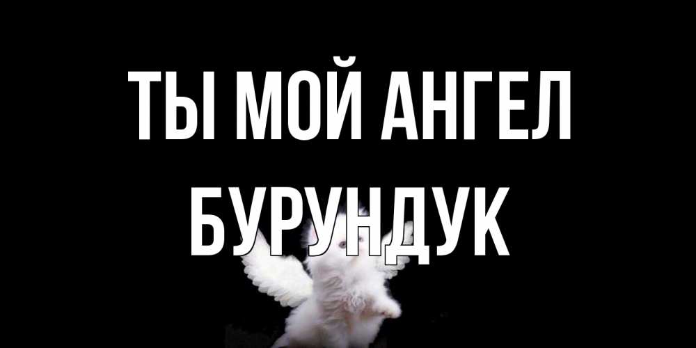 Открытка на каждый день с именем, Бурундук Ты мой ангел Кот ангел Прикольная открытка с пожеланием онлайн скачать бесплатно 