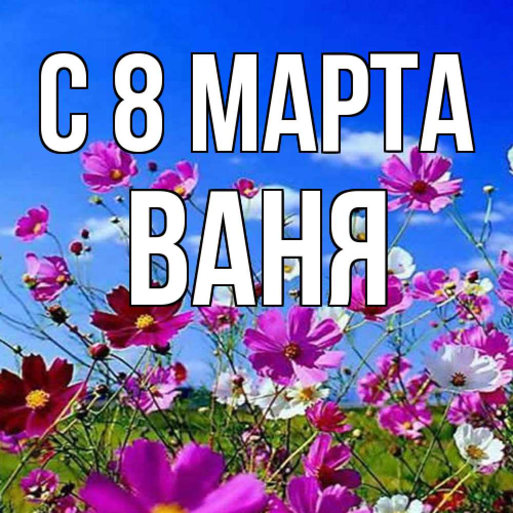 Открытка на каждый день с именем, Ваня C 8 МАРТА цветы Прикольная открытка с пожеланием онлайн скачать бесплатно 